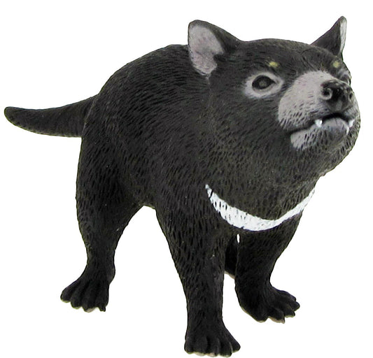 Australian Large Tasmanian Devil