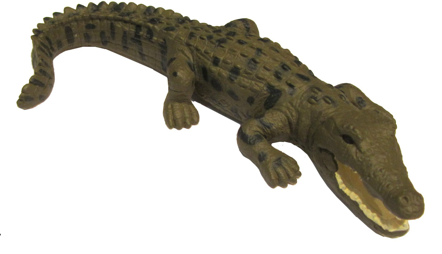 Australian Saltwater Crocodile