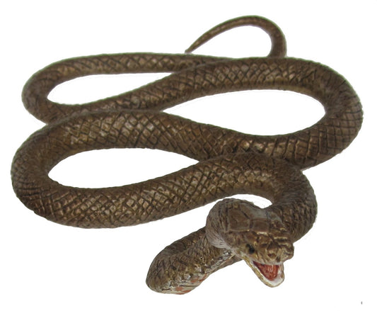 Australian Brown Snake
