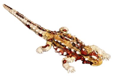 Australian Thorny Devil