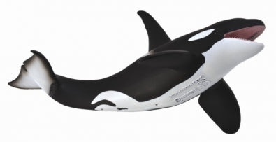 CollectA-Orca