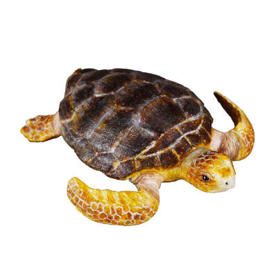 CollectA-Loggerhead Turtle
