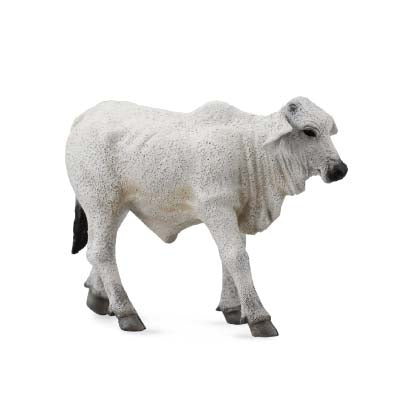 CollectA Brahman Calf