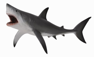 CollectA-Great White Shark