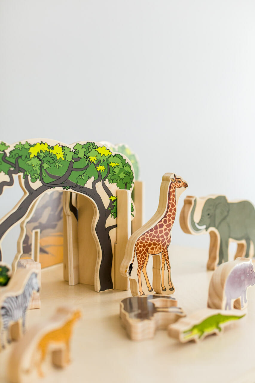 The Freckled Frog- Animals in the Wild 20pc