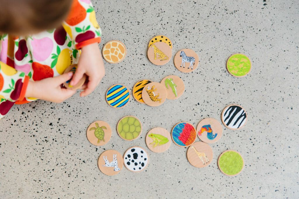 The Freckled Frog- Who am I? – Matching Pairs