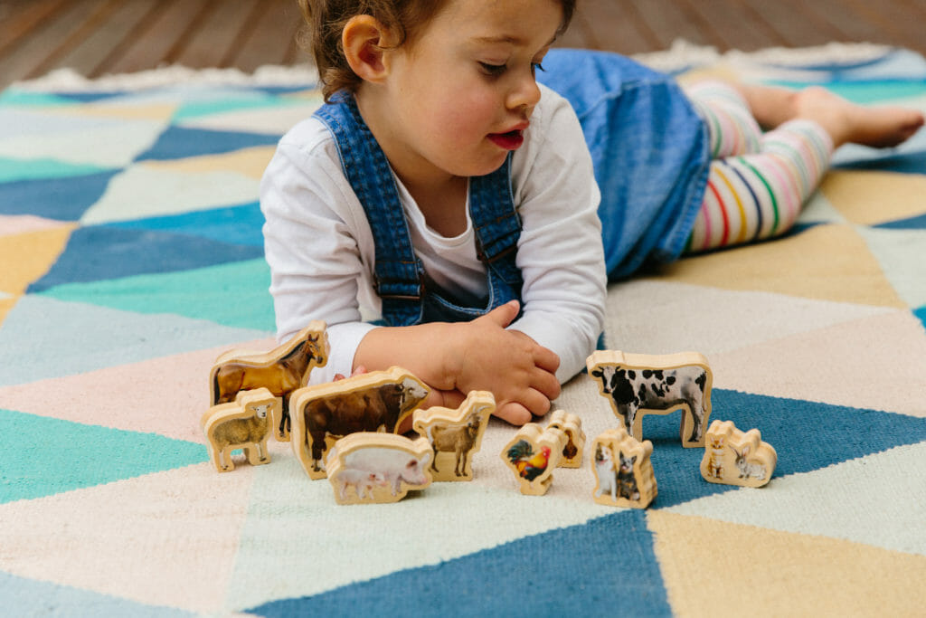 The Freckled Frog- Wooden- My Farm Animals