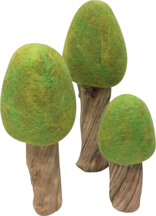 Papoose Spring Trees/3