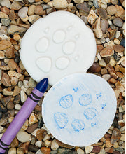 Let's Investigate Tactile Stones -Polar Footprints