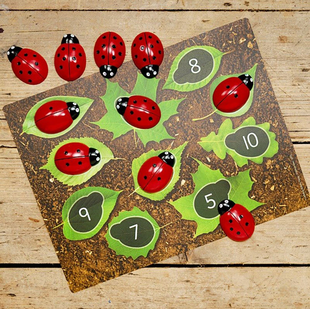 Ladybug Counting Stones