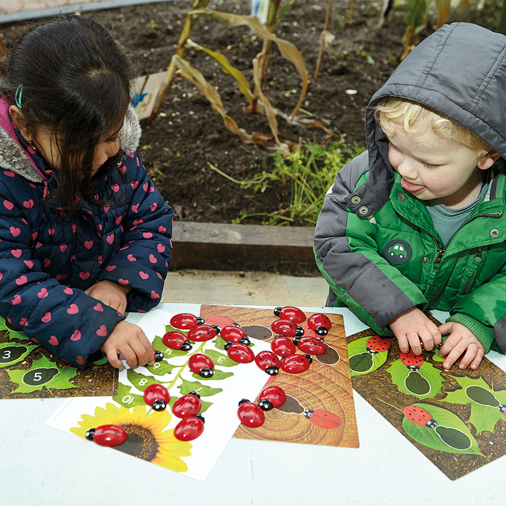 Ladybug Counting Stones