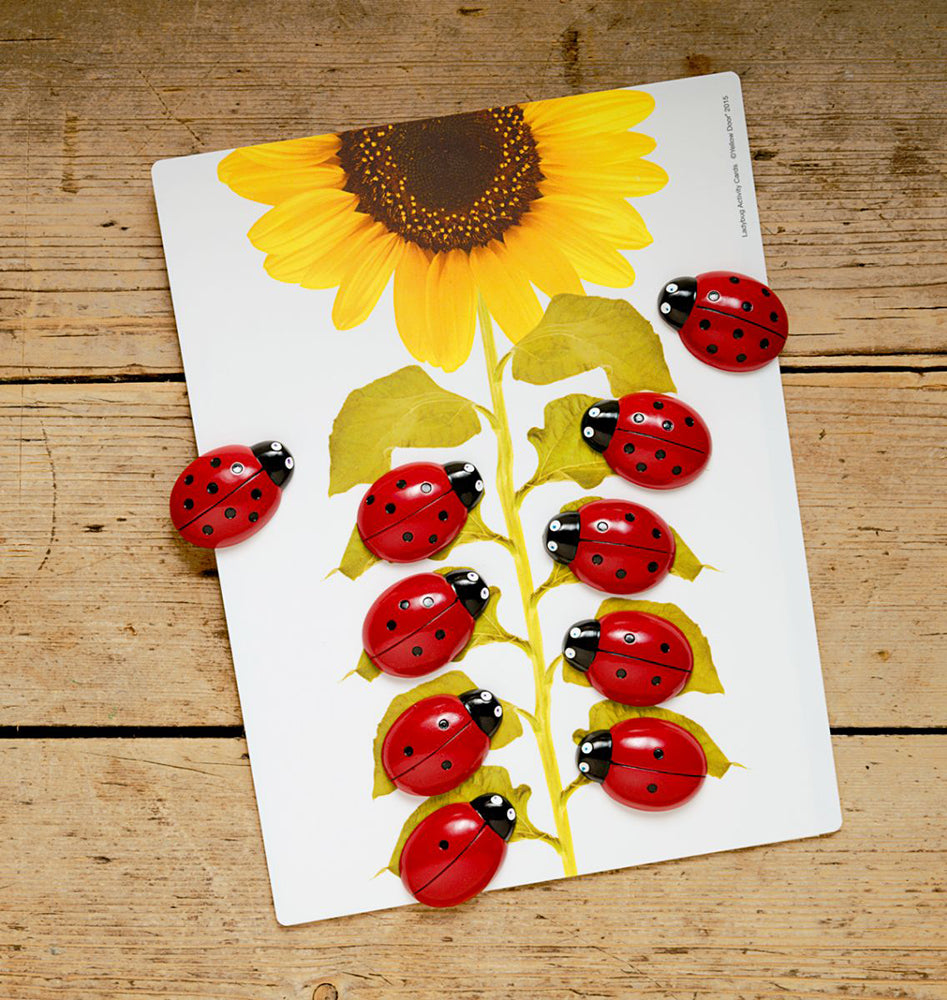 Ladybug Counting Stones and Cards