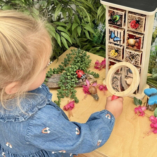 Bug Hotel 10-Frame