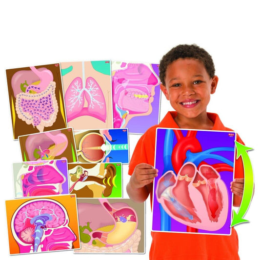 My Body In Action - 10pcs