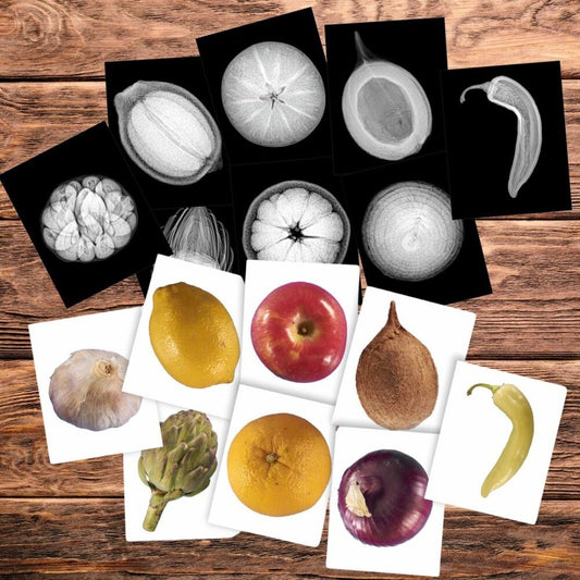 Plant X-Rays - 84pcs