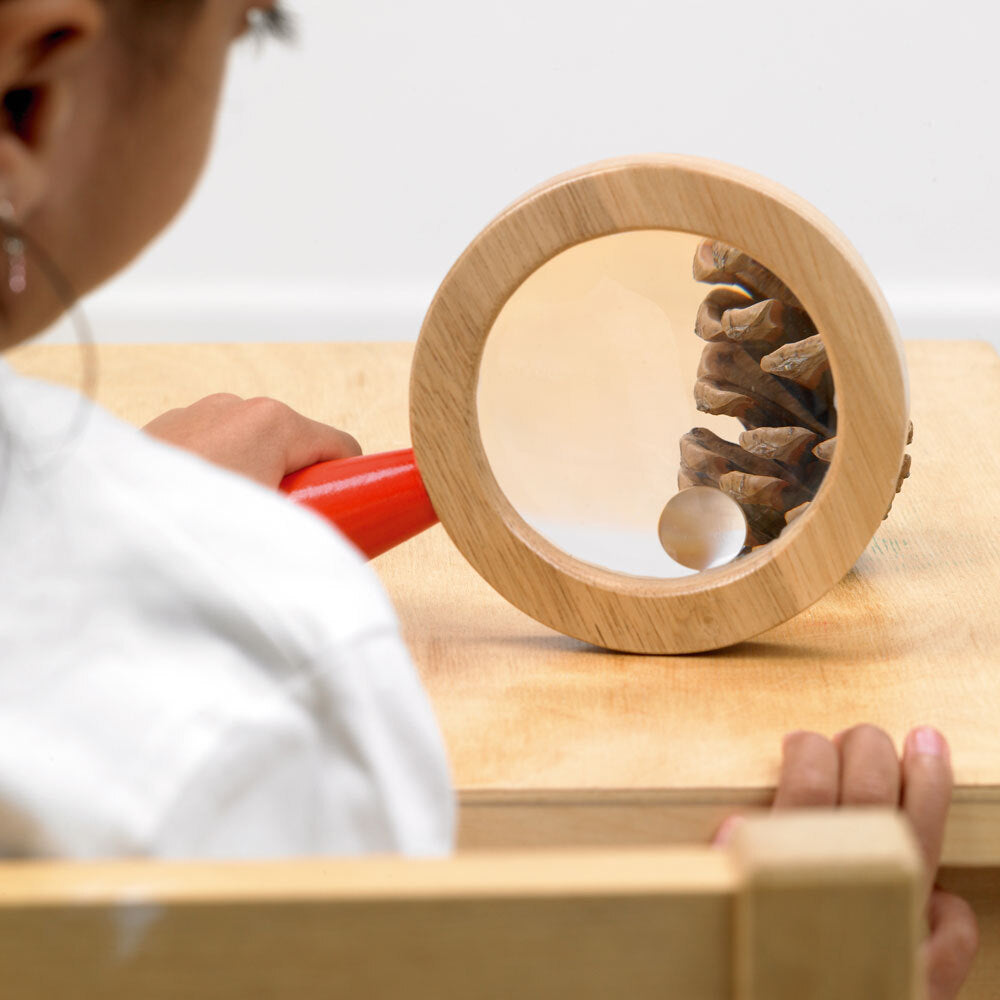 Wooden Hand Lens - 10cm