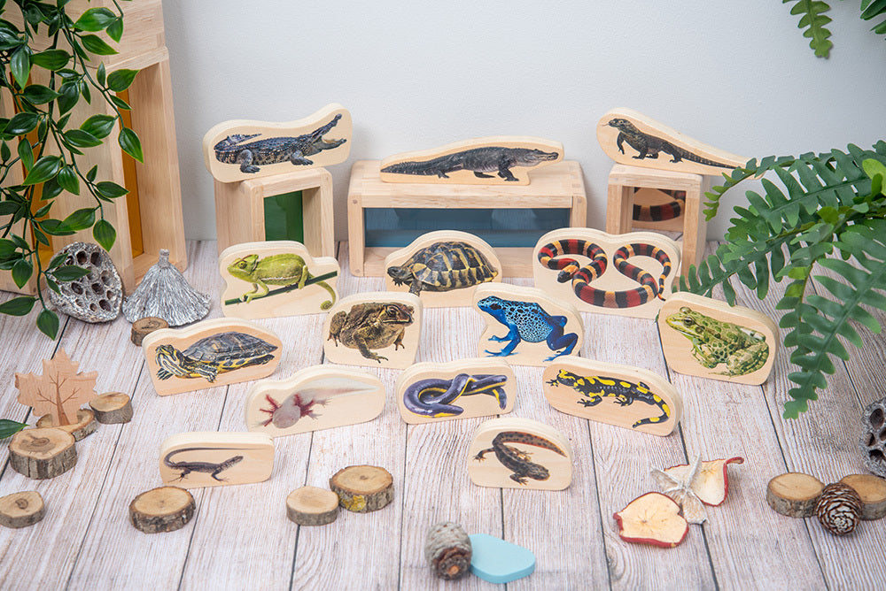 Wooden Reptile & Amphibian Blocks - 15pcs
