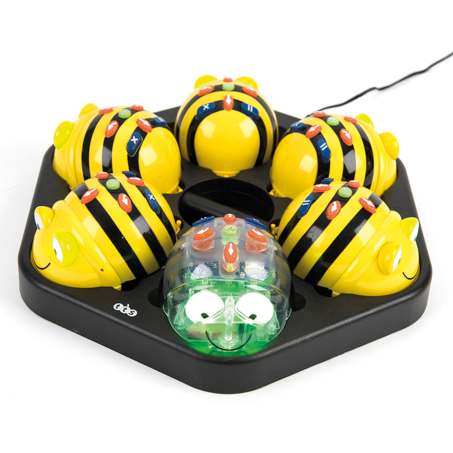 Bee Bots – Haywood Educational Resources