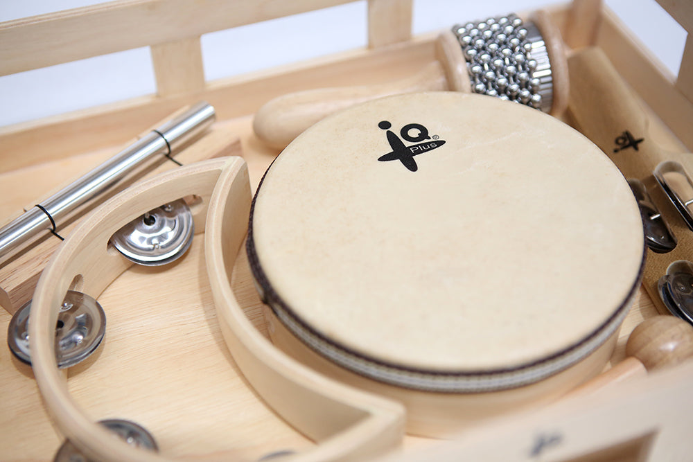 IQ Plus Music Set in Wooden Tray