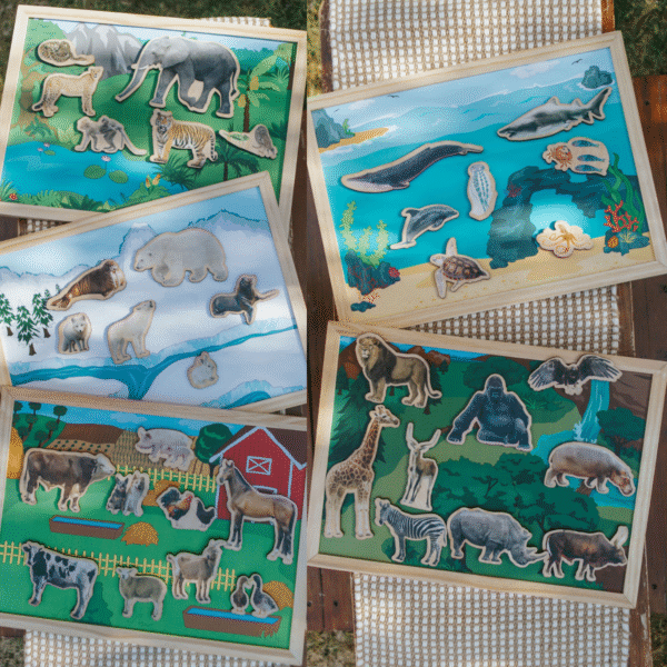 Freckled Frog- Homes Of The Wild