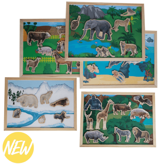 Freckled Frog- Homes Of The Wild