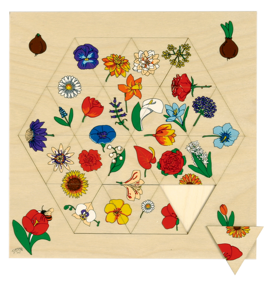 Triama - Flowers