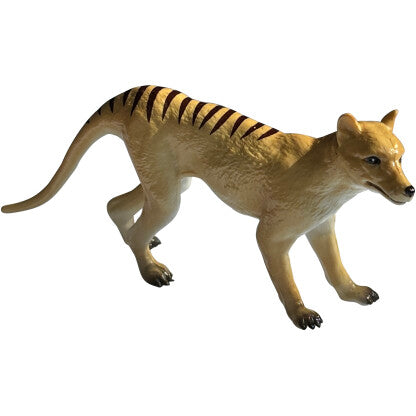 Australian Thylacine replica (Tasmanian Tiger) (small)