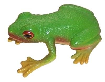 Australian Red-eyed Green Tree Frog replica