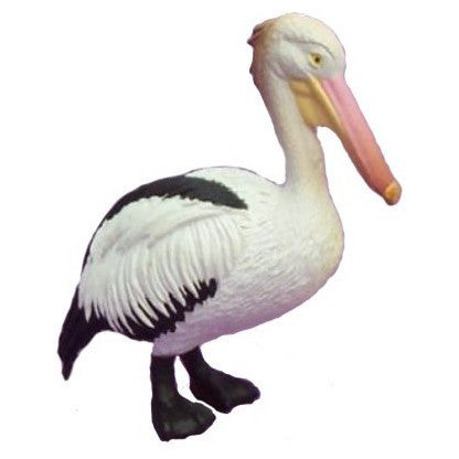 Australian Bird-Pelican