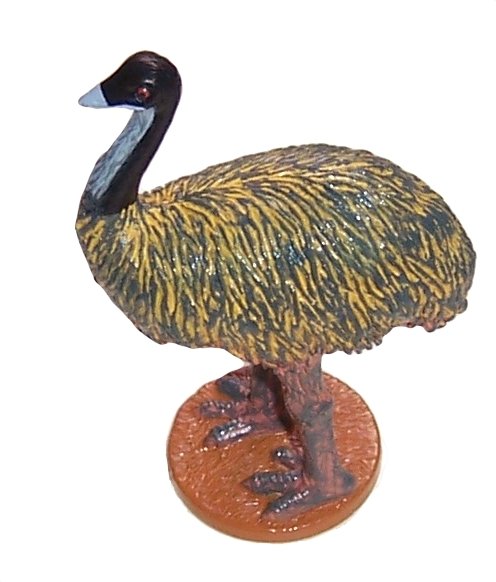 Australian Birds-Emu
