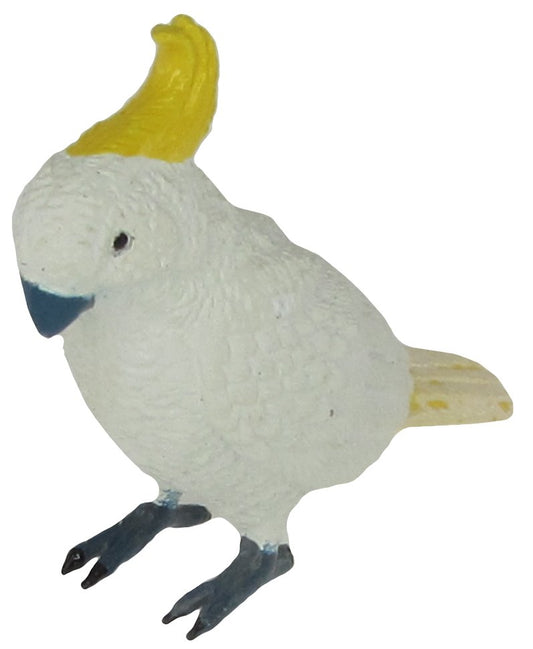 Australian Bird-Sulphur-crested cockatoo