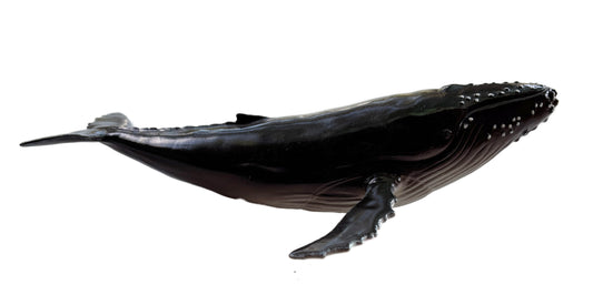 Humpback Whale Soft Replica (soft PVC with synthetic fibre filling)