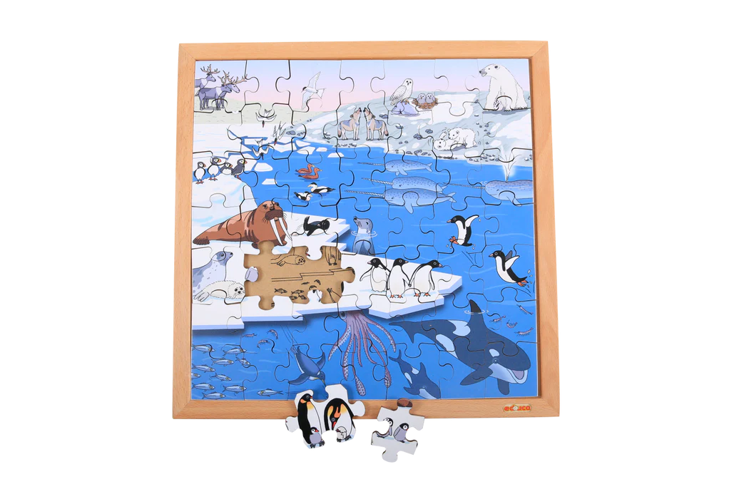 Vocabulary Puzzle - Polar Areas