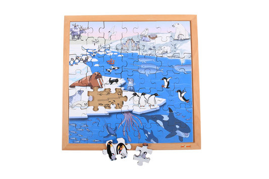 Vocabulary Puzzle - Polar Areas