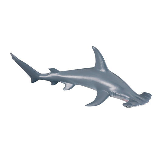 CollectA-Scalloped Hammerhead Shark