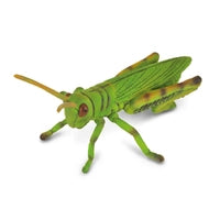 CollectA- Grasshopper (L)