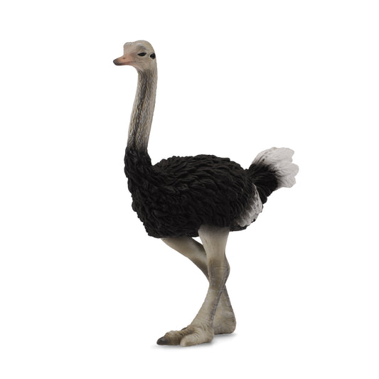 CollectA- Ostrich