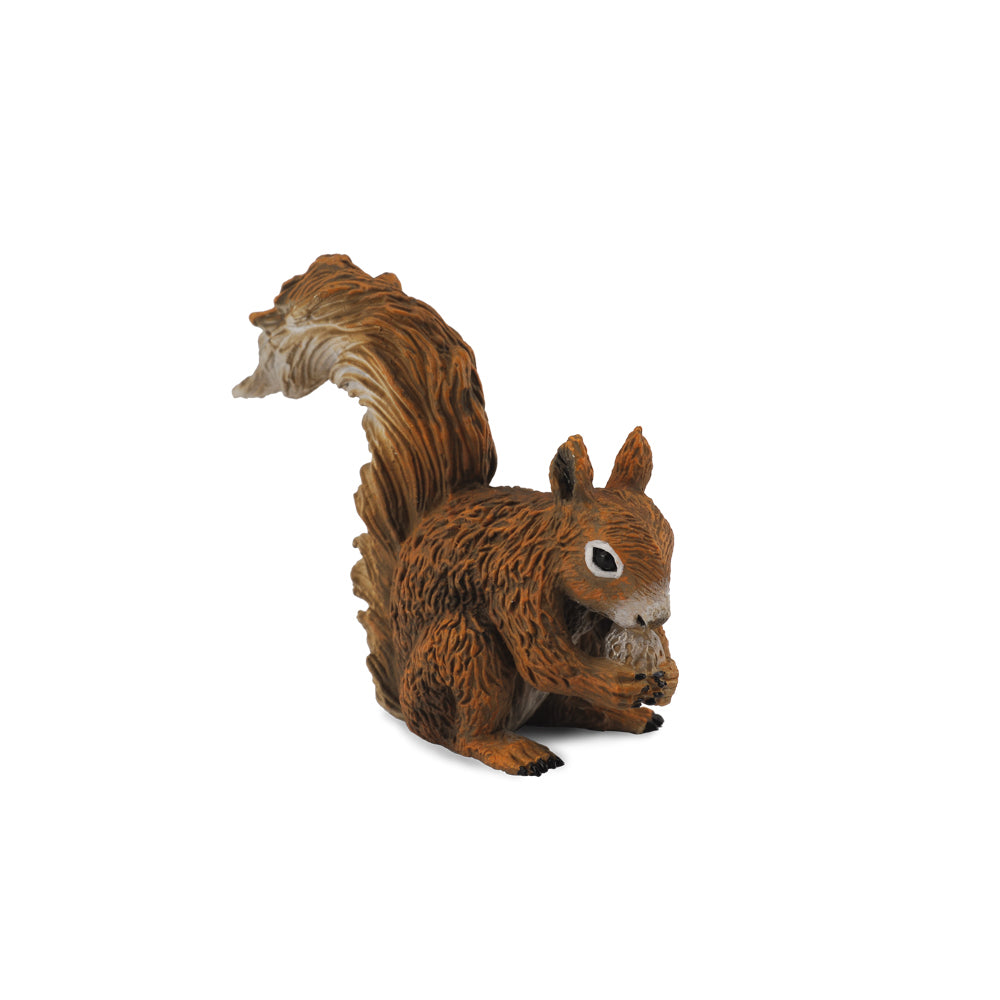 CollectA -Red Squirrel Eating
