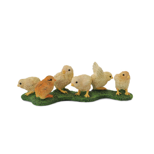 Collecta -Chicks(s)