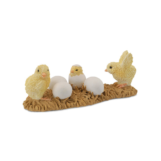 Copy of Collecta -Chicks hatching