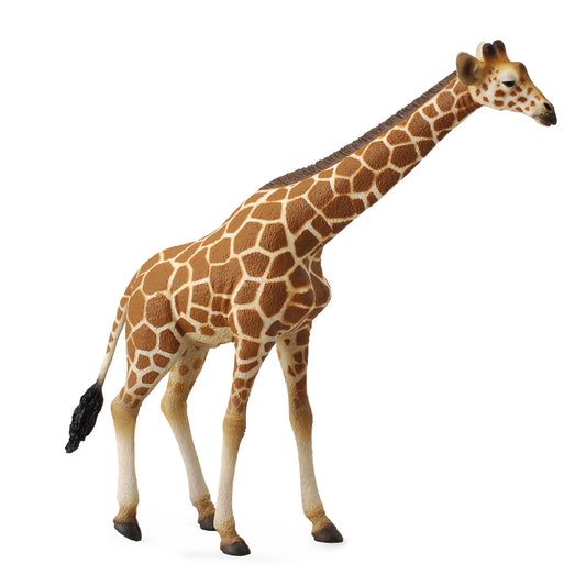 CollectA- Reticulated Giraffe