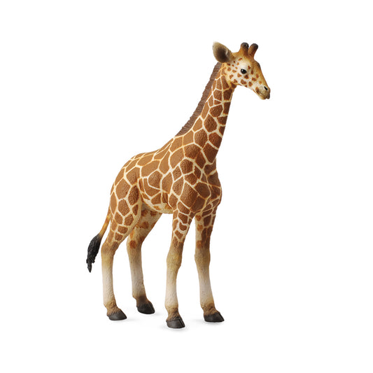 CollectA- Reticulated Giraffe Calf