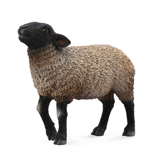 CollectA-Suffolk Sheep