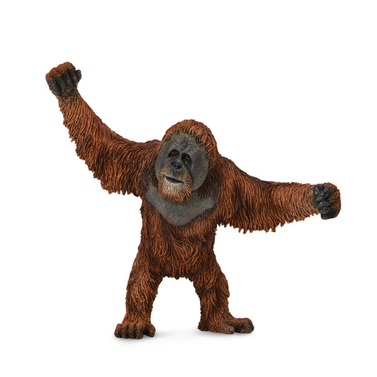 CollectA- Orangutan