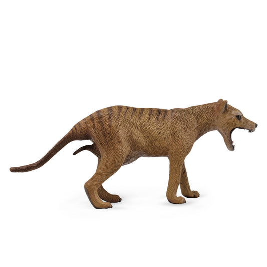 CollectA-Thylacine (Tasmanian Tiger) (L)