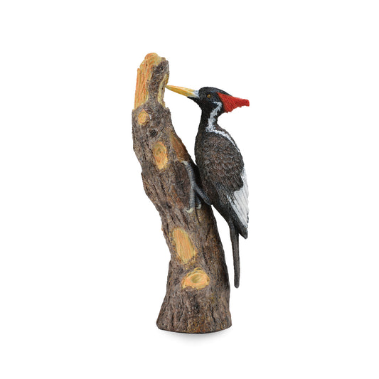 CollectA-Ivory-Billed Woodpecker