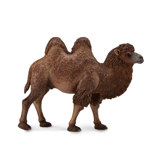 CollectA- Bactrian Camel