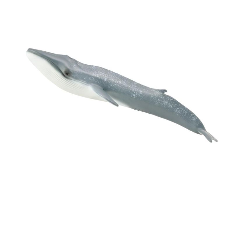 CollectA-Blue Whale
