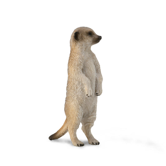 CollectA-Meerkat