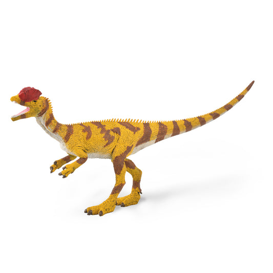 CollectA Dilophosaurus (L)